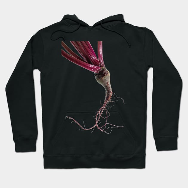 Small freshly harvested beet close-up Hoodie by SDym Photography